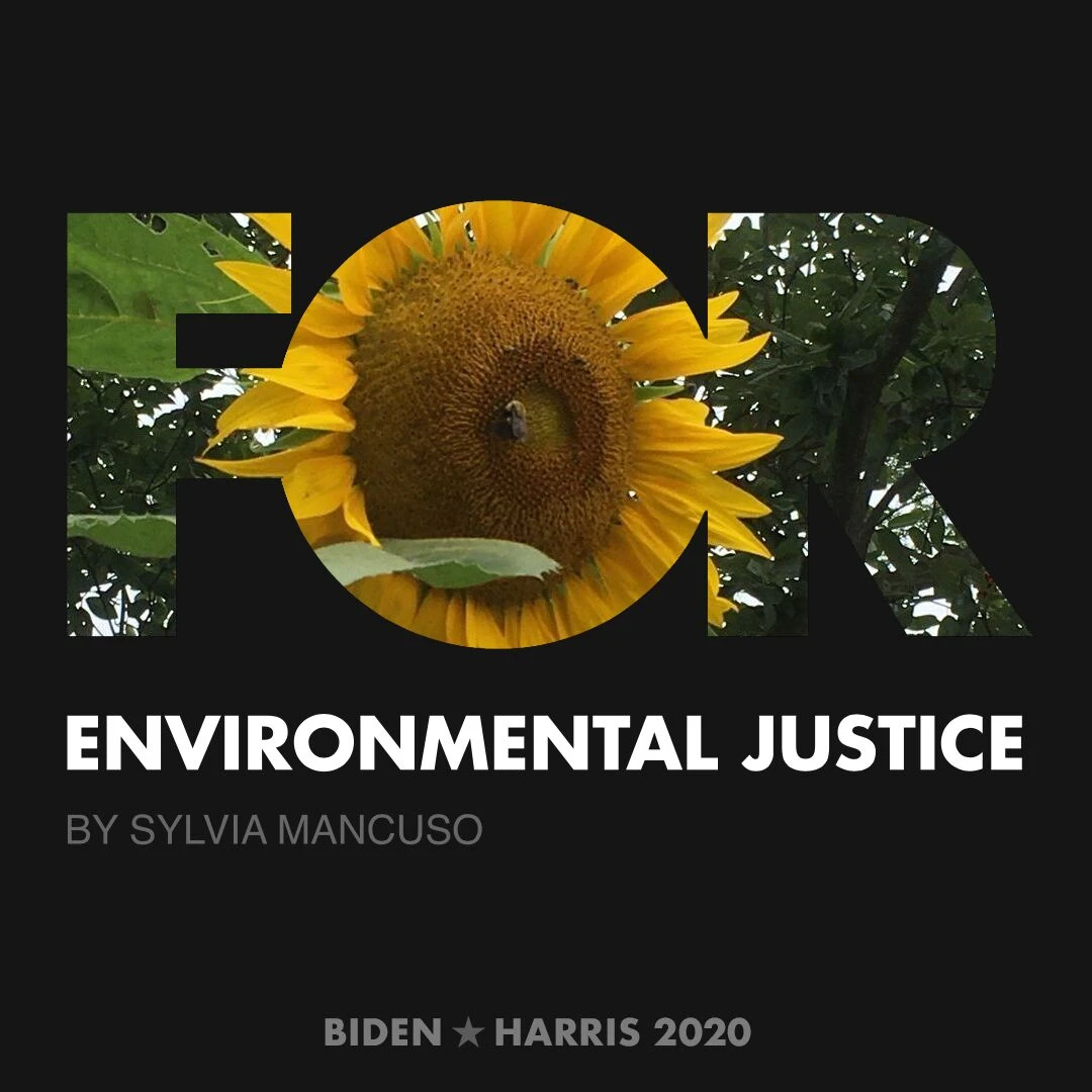 CreativesForBiden.org - Environmental Justice artwork by Sylvia Mancuso