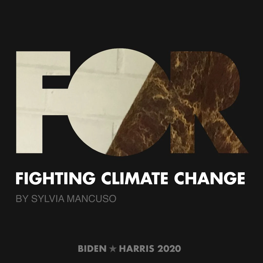 CreativesForBiden.org - Fighting Climate Change artwork by Sylvia Mancuso