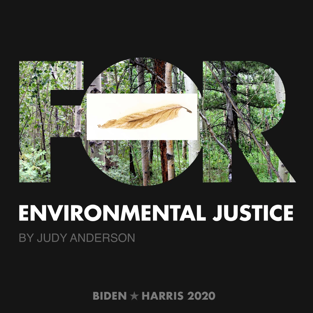 CreativesForBiden.org - Environmental Justice artwork by Judy Anderson
