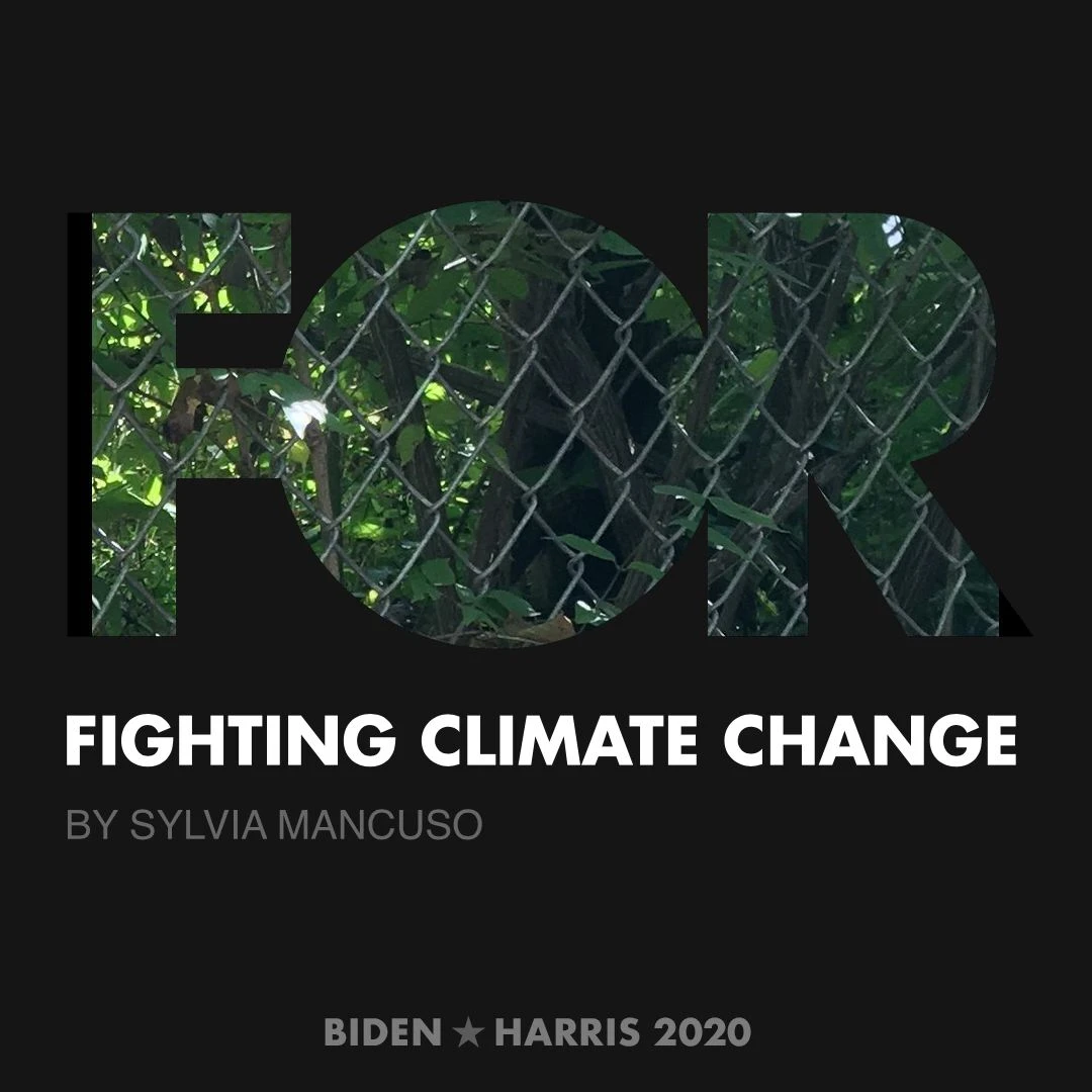 CreativesForBiden.org - Fighting Climate Change artwork by Sylvia Mancuso