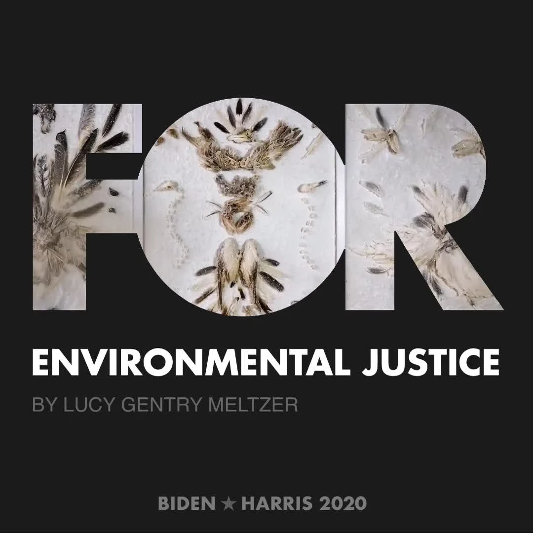 CreativesForBiden.org - Environmental Justice artwork by Lucy Gentry Meltzer