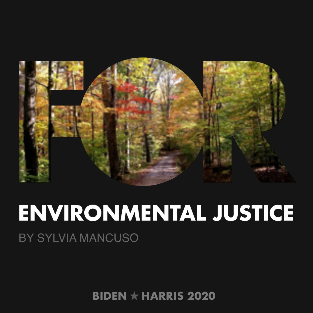 CreativesForBiden.org - Environmental Justice artwork by Sylvia Mancuso