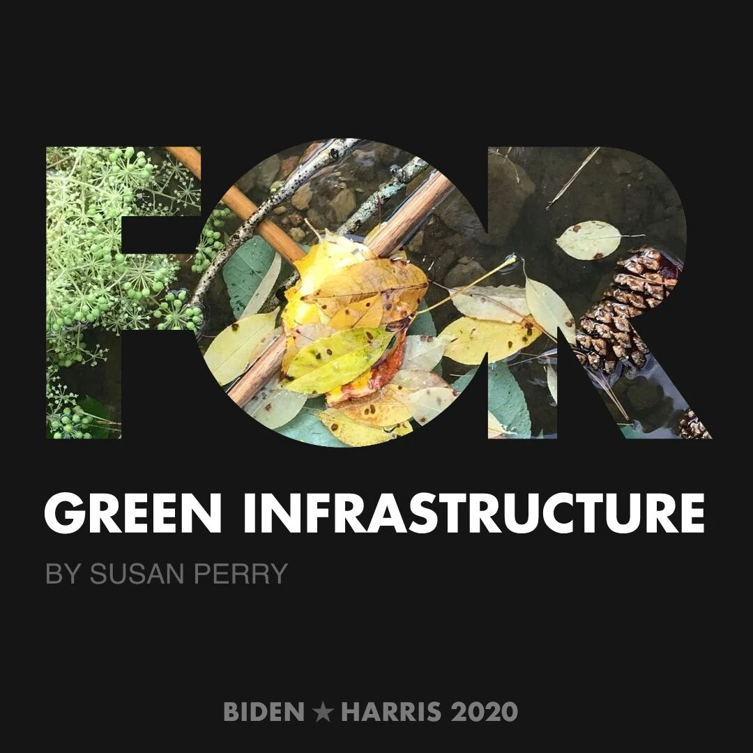 CreativesForBiden.org - Green Infrastructure artwork by Susan Perry