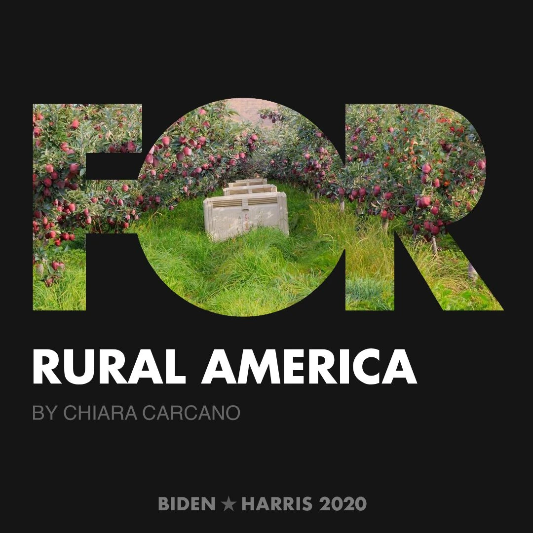CreativesForBiden.org - Rural America artwork by Chiara Carcano