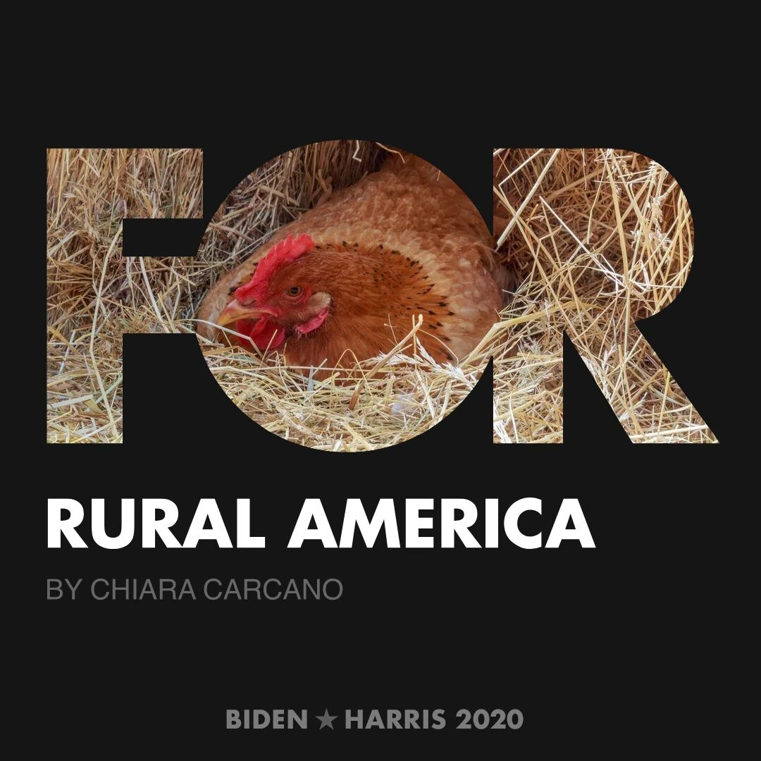 CreativesForBiden.org - Rural America artwork by Chiara Carcano