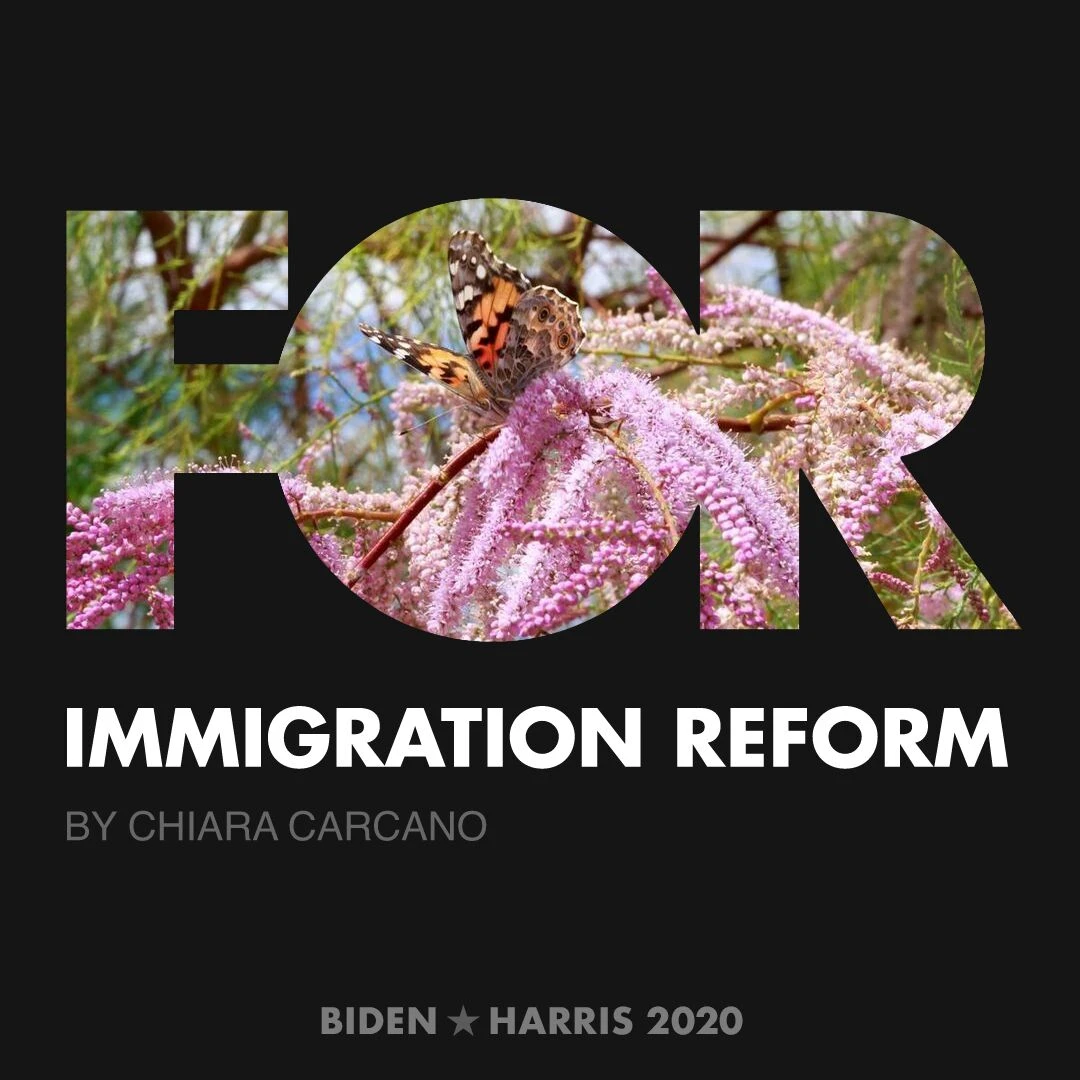 CreativesForBiden.org - Immigration Reform artwork by Chiara Carcano