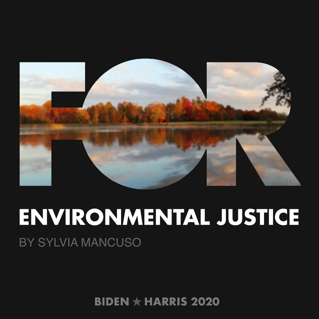 CreativesForBiden.org - Environmental Justice artwork by Sylvia Mancuso