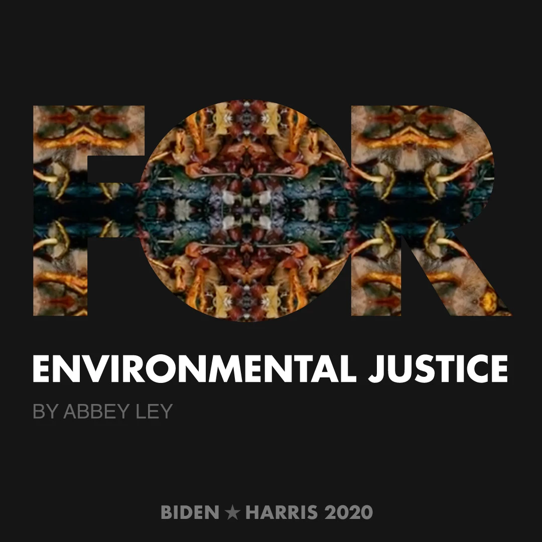 CreativesForBiden.org - Environmental Justice artwork by Abbey Ley